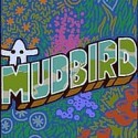 MUDBIRD