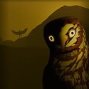 Birds Watching